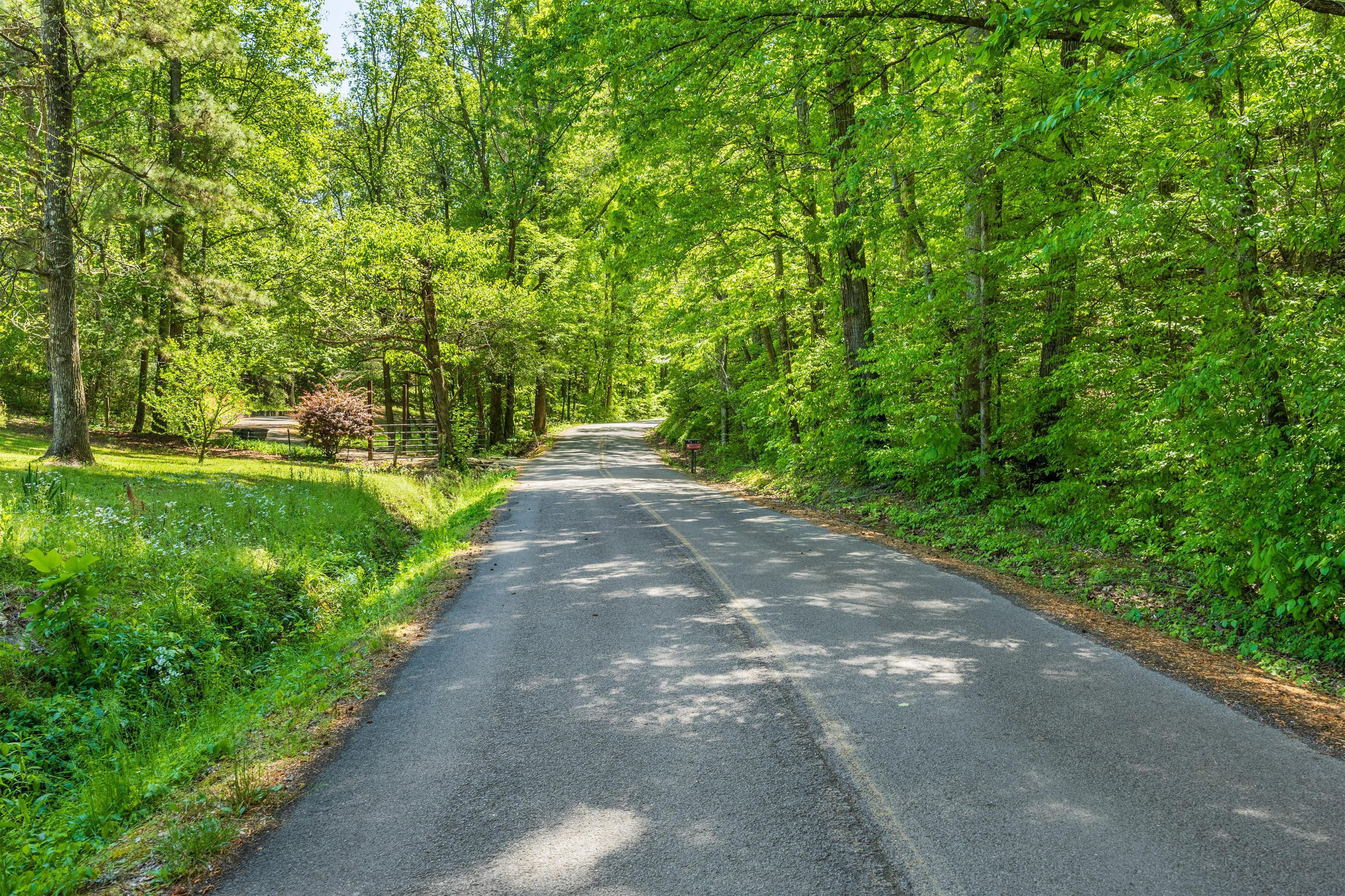 556 No Pone Valley Road Northwest Georgetown, TN 37336 - Photo 26 of 30 Road