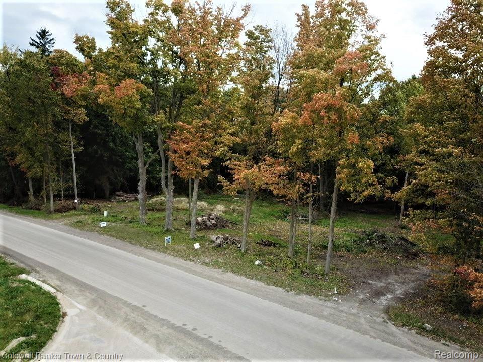0 Mcclements Road Brighton, MI 48114 - Photo 4 of 17