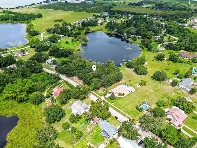 a view of a garden with plants