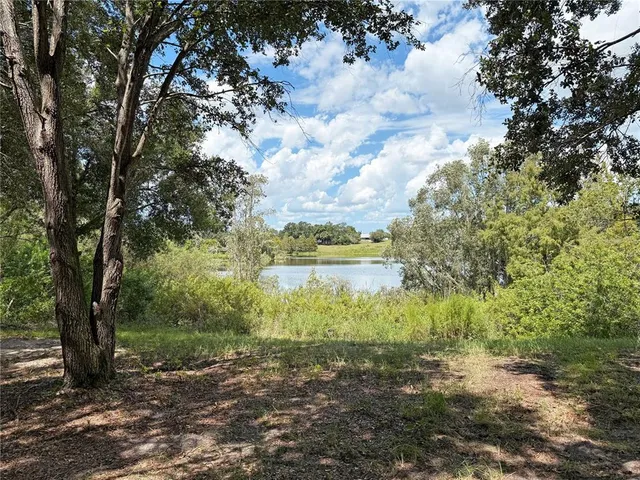 a view of a lake with lots of trees
