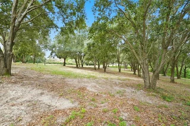 a view of outdoor space with trees