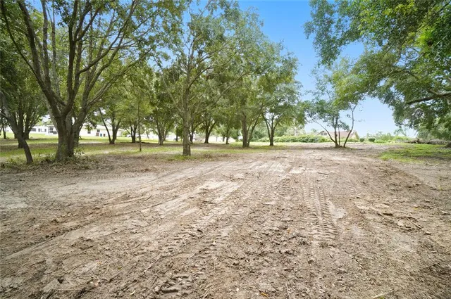 a view of a yard with a tree