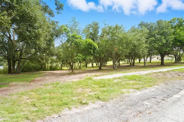 a view of park space