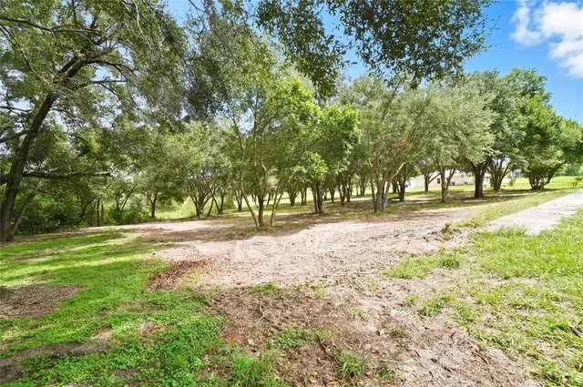 a view of park space