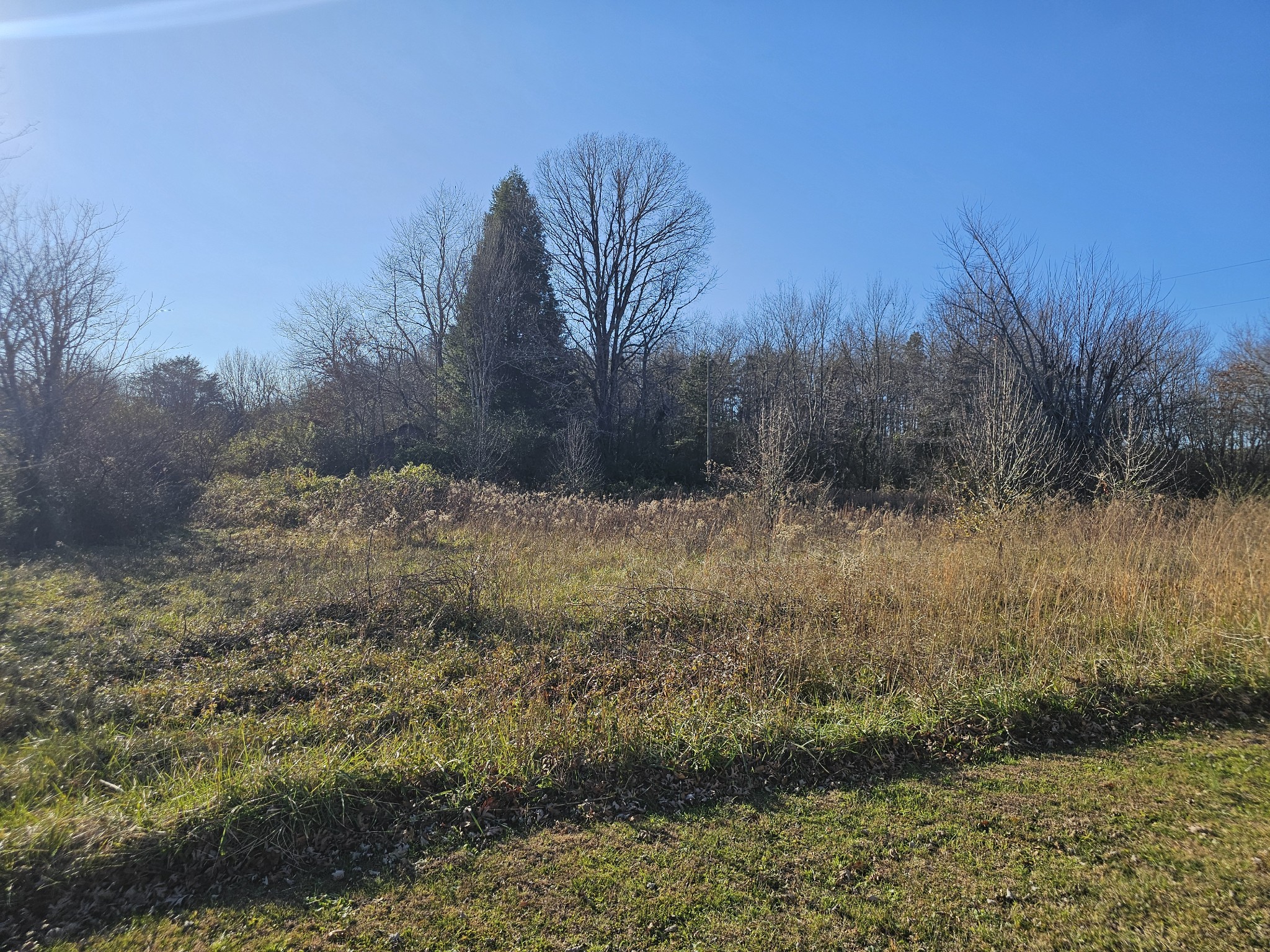 0 Yates Road Hillsboro, TN 37342 - Photo 1 of 1