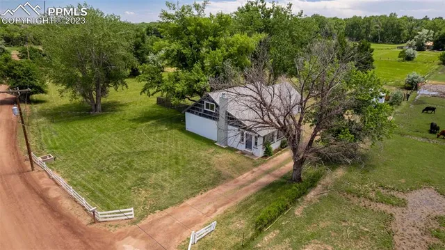 a view of a yard with potted plants
