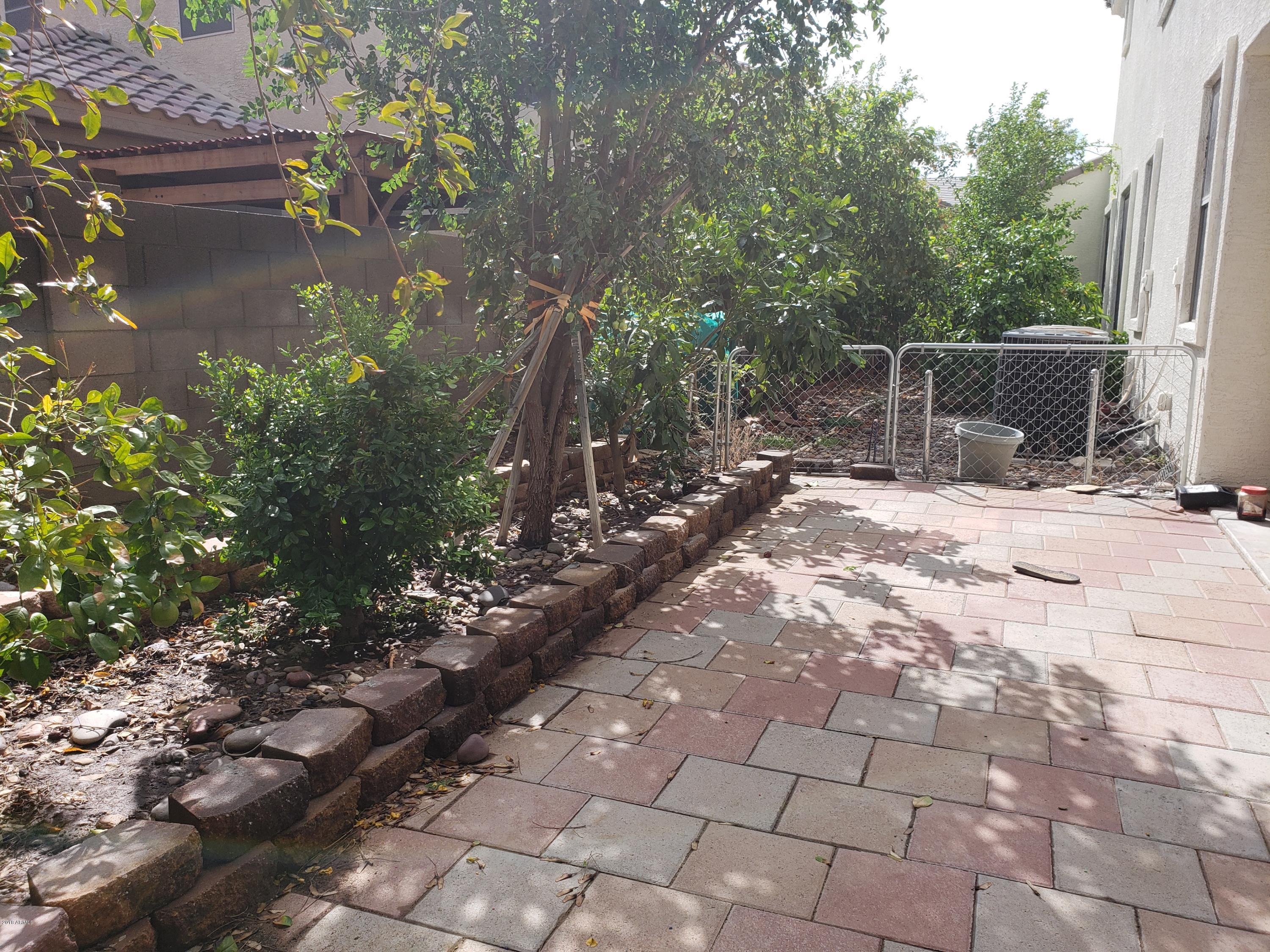 14152 West Calavar Road Surprise, AZ 85379 - Photo 21 of 26 20181003_102115