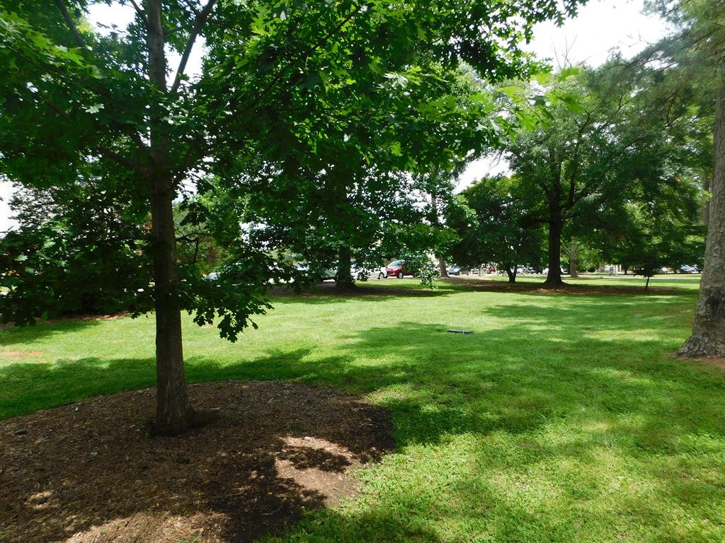 345 Park Avenue Southwest Aiken, SC 29801 - Photo 39 of 39