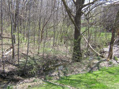 9811 Saratoga Road Fort Wayne, IN 46804 - Photo 3 of 20 Gallery Image 3