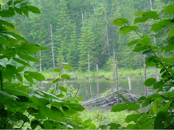 5 Fellows Road Guildhall, VT 05905 - Photo 1 of 1