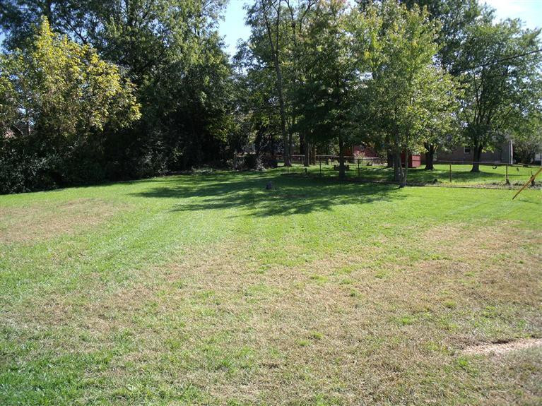 Nice deep backyard that opens onto neigh