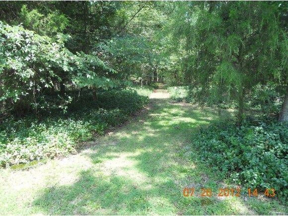 2522 Mt View Church Road Moncure, NC 27559 - Photo 14 of 18 Gallery Image 14