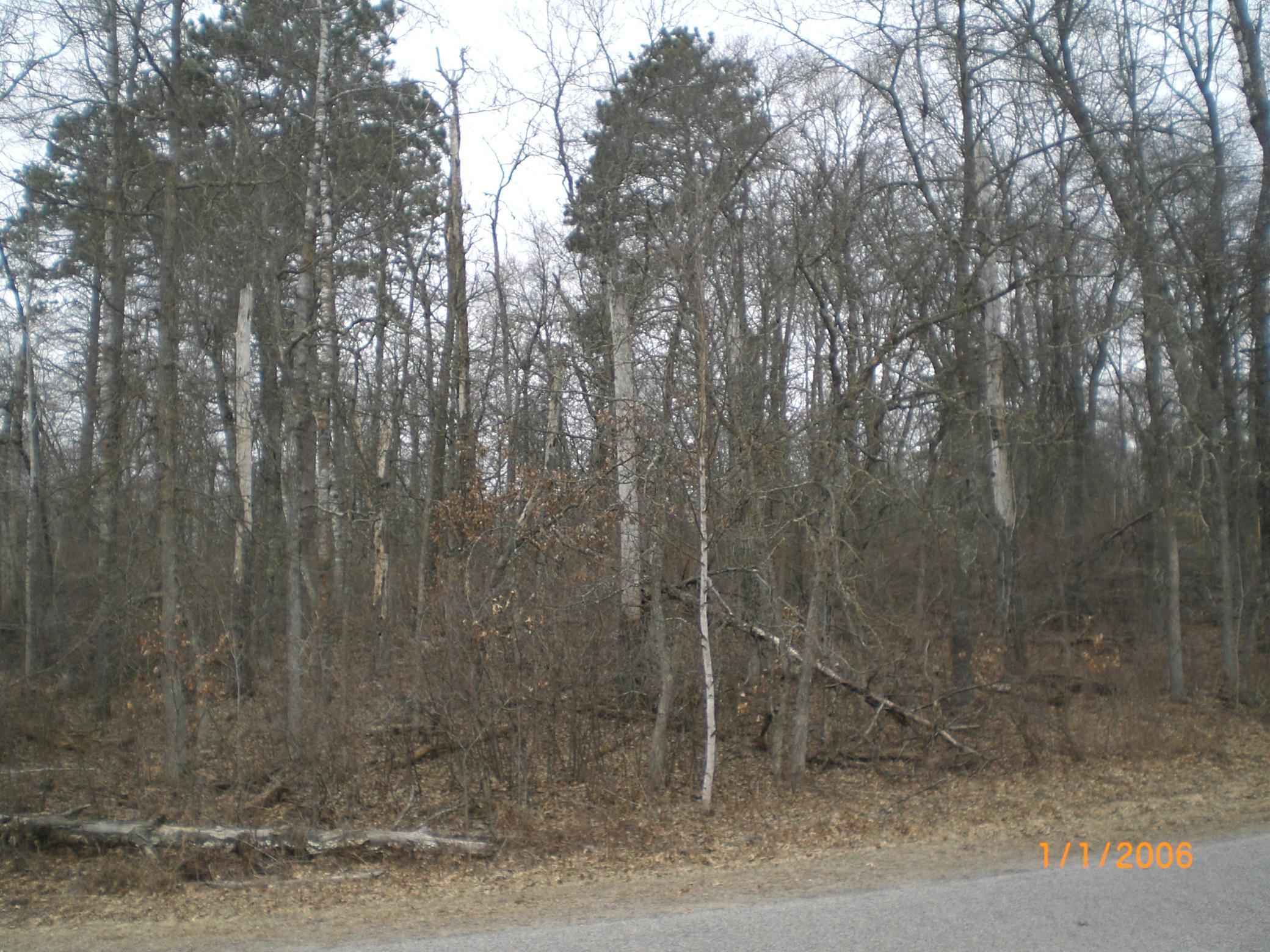 Tbd Suffolk Drive Breezy Point, MN 56472 - Photo 3 of 3