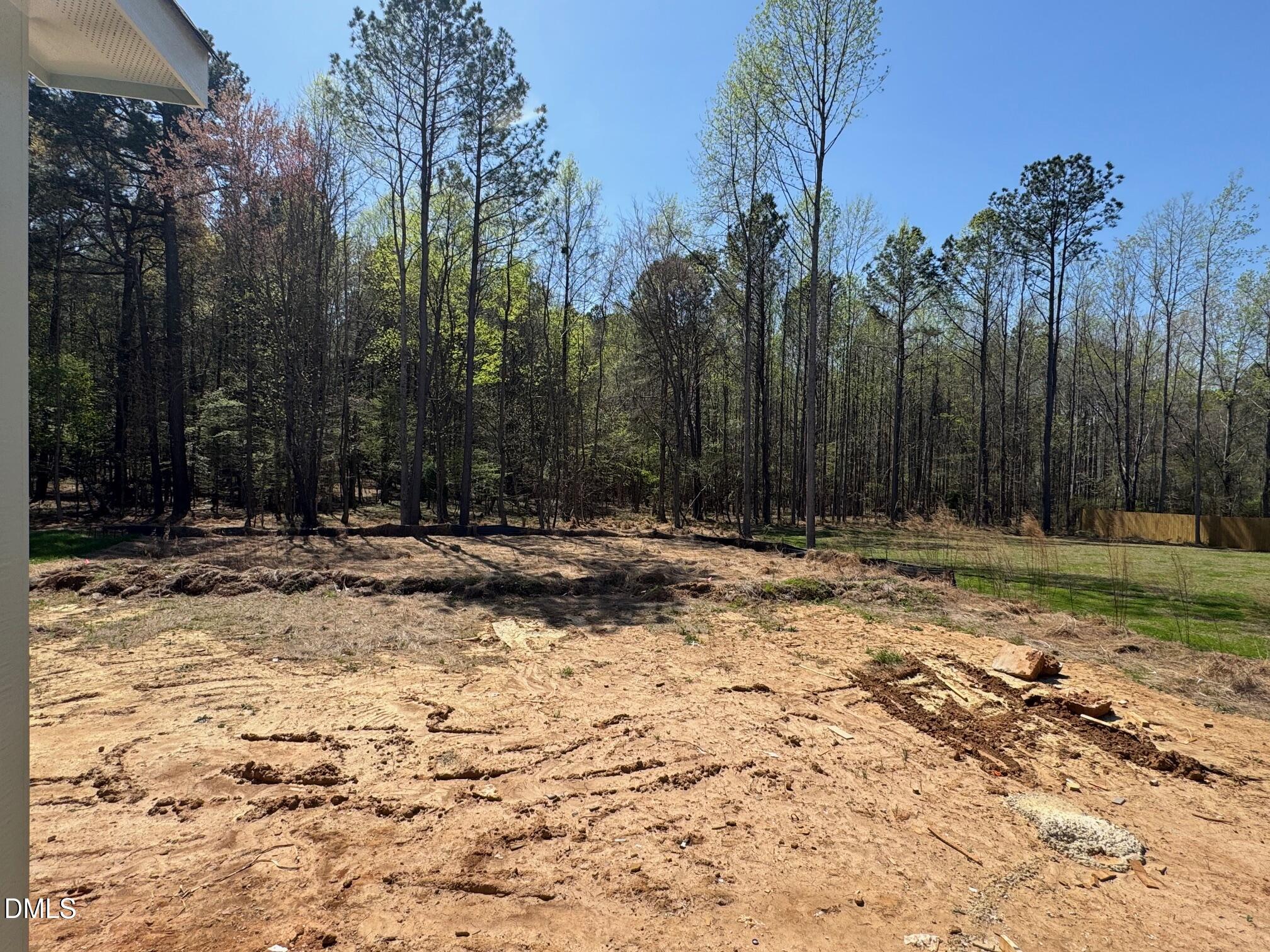 935 Lynch Road Selma, NC 27576 - Photo 18 of 21 a view of outdoor space with trees