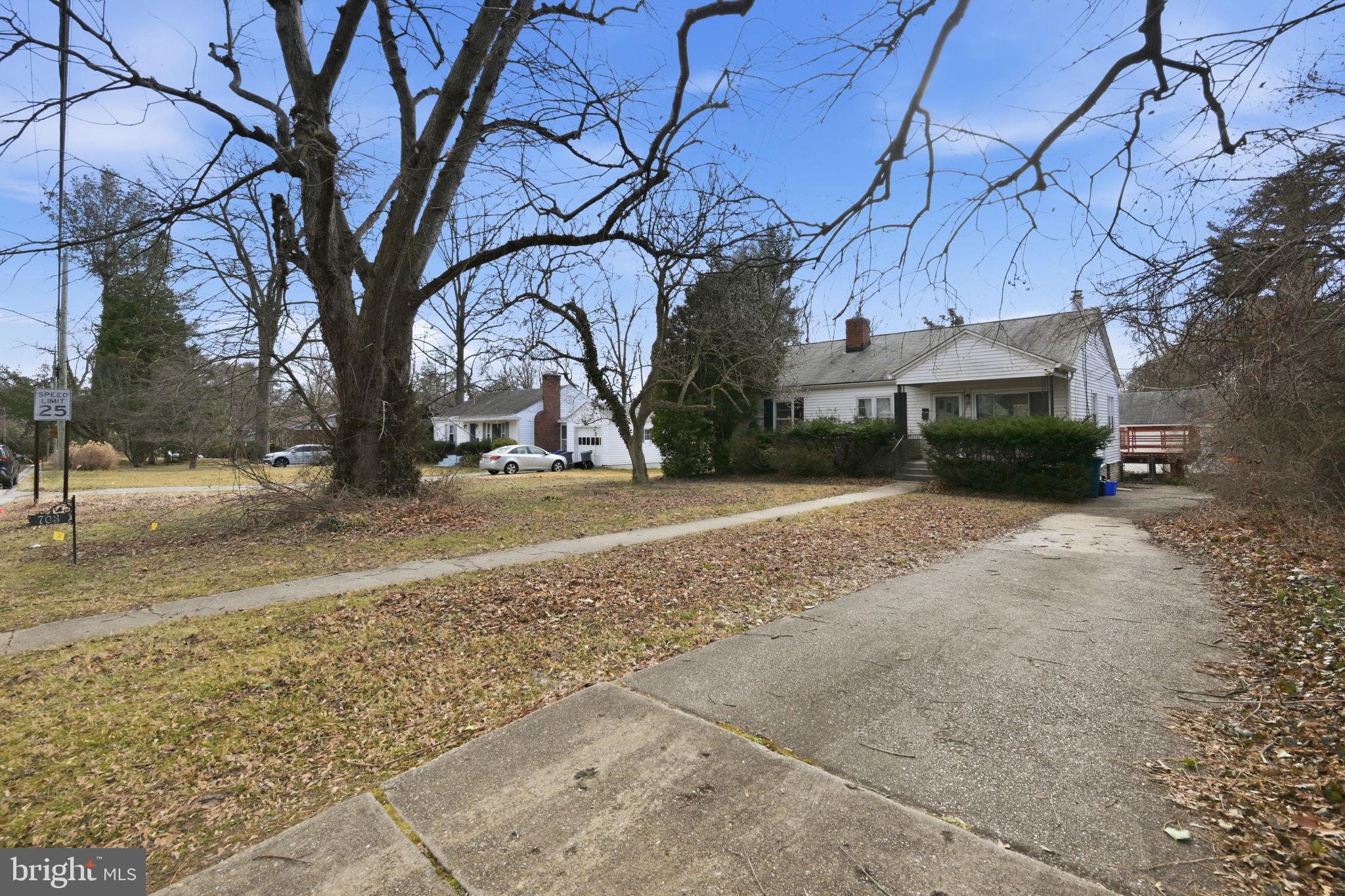703 Northwest Drive Silver Spring, MD 20901 - Photo 23 of 25 a view of a yard with a tree