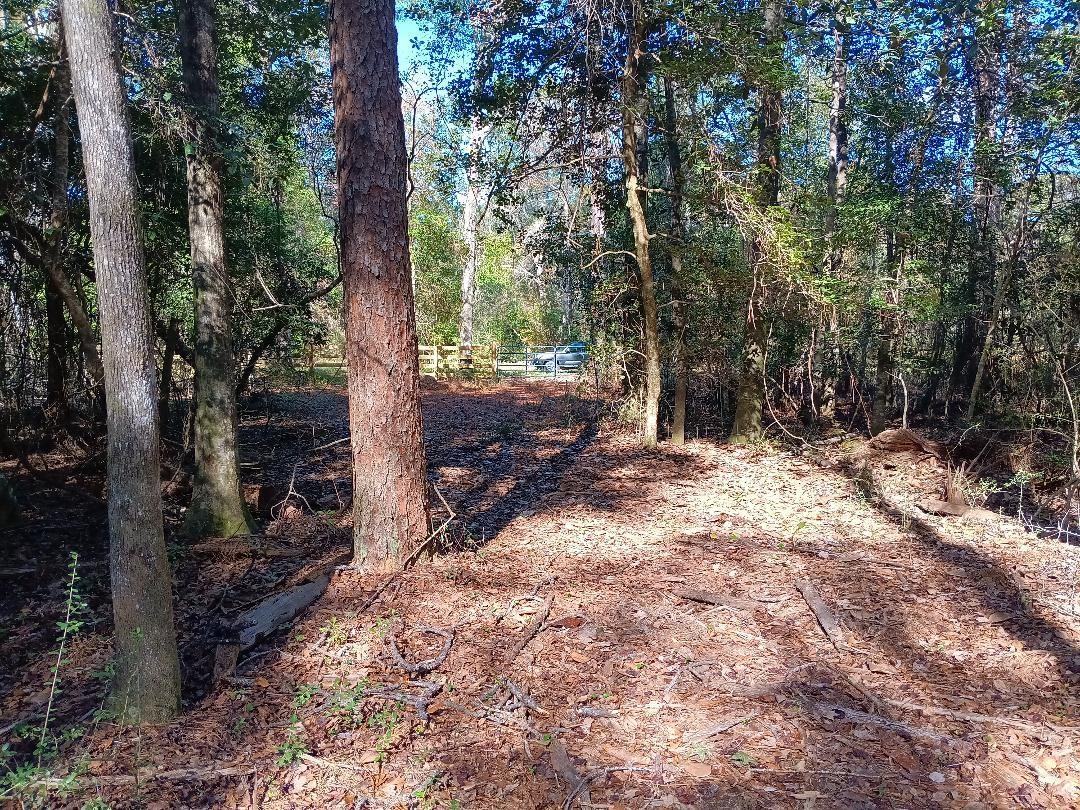 0 Carpenter Lane Bay Minette, AL 36507 - Photo 9 of 14 View
