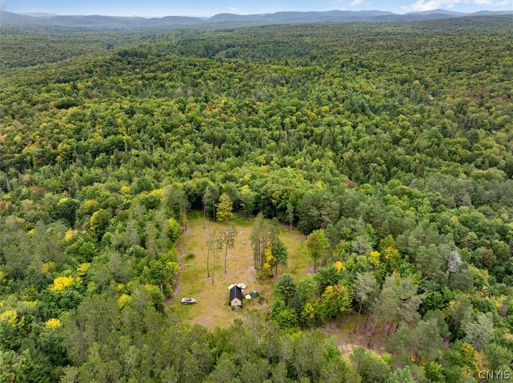 0 Piseco Road Stratford, NY 13470 - Photo 8 of 15 Gallery Image 8