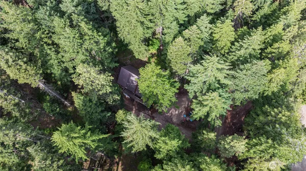 an aerial view of a house with a lush green forest