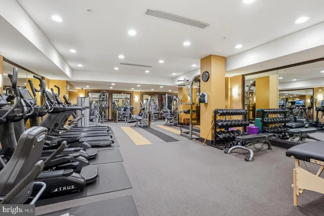 a street view with large trees