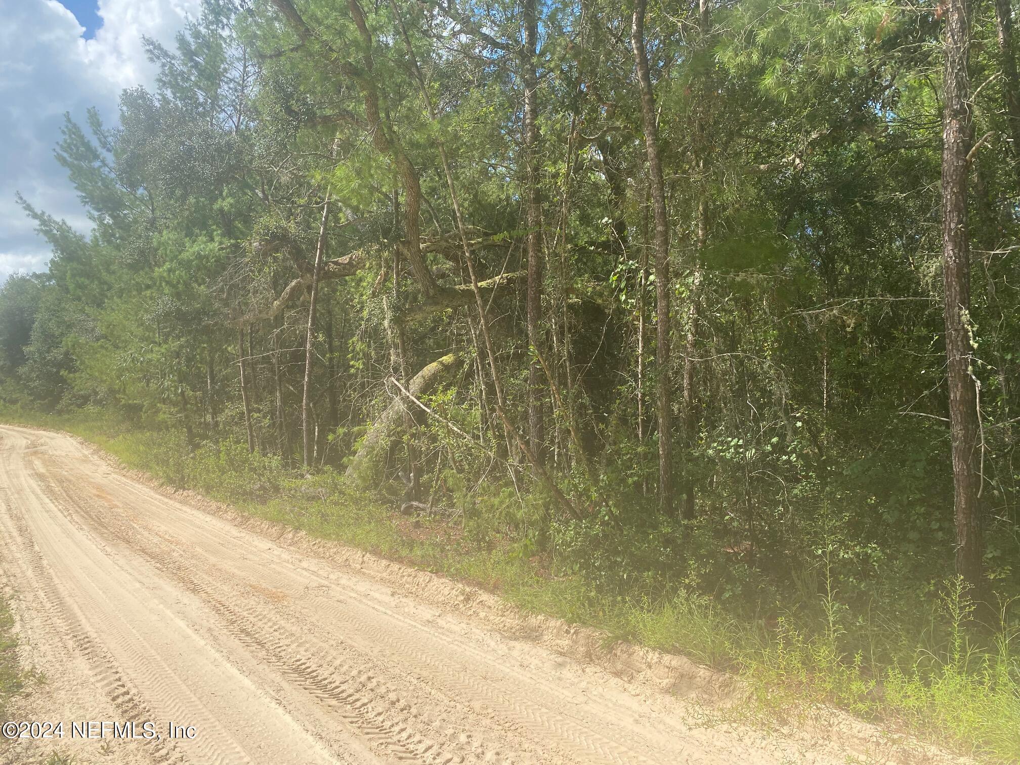 Tbd Robin Road Palatka, FL 32177 - Photo 8 of 11 IMG_1248