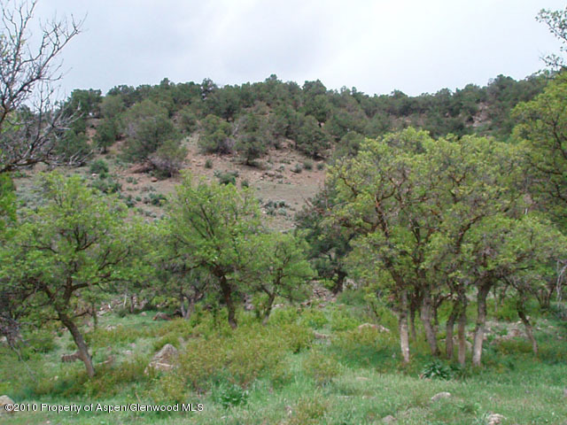 Tbd West Sopris Creek Road Basalt, CO 81621 - Photo 2 of 4 Sage Brush