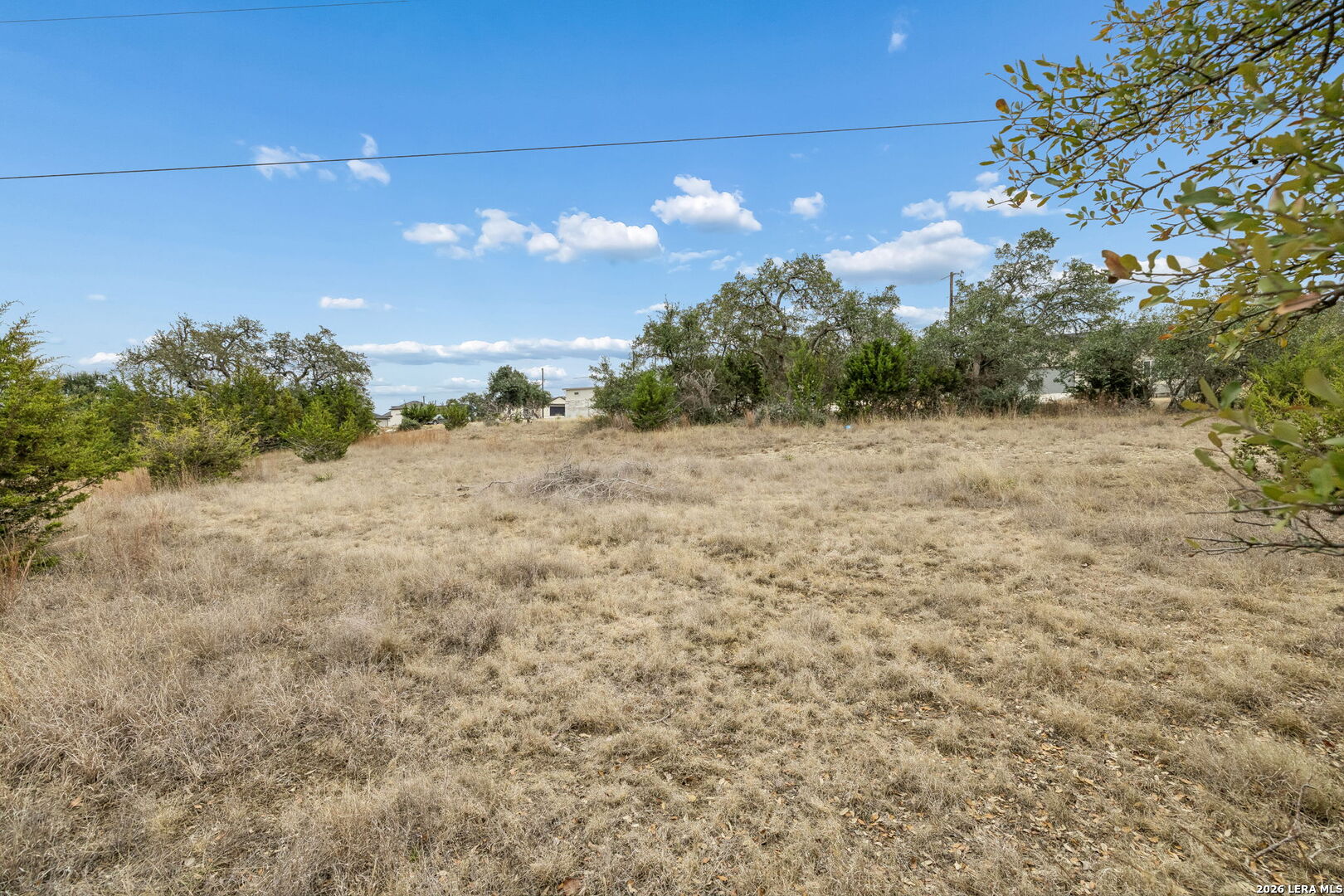 132 West Pat Dolan Blanco, TX 78606 - Photo 22 of 43 a view of a yard with a tree