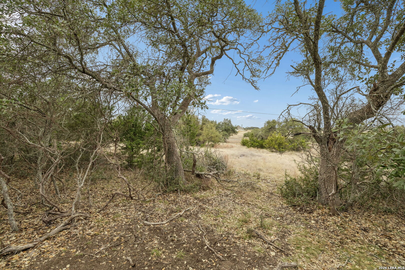 132 West Pat Dolan Blanco, TX 78606 - Photo 25 of 43 a view of a yard with a tree