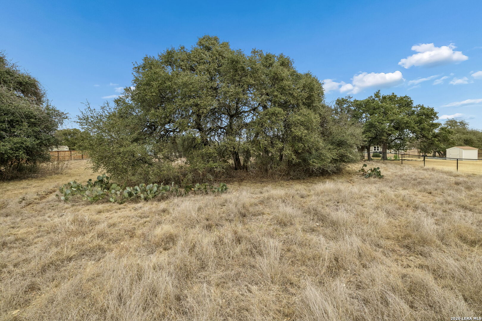 132 West Pat Dolan Blanco, TX 78606 - Photo 28 of 43 a view of outdoor space with trees all around