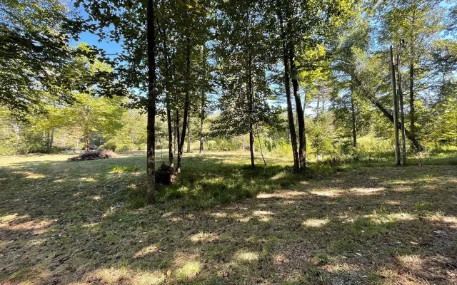 a view of outdoor space with trees