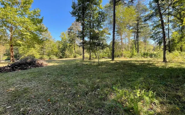 a view of outdoor space with trees all around