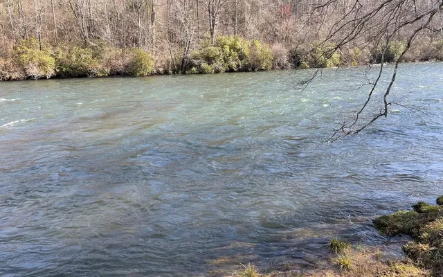 a view of an outdoor space and a yard