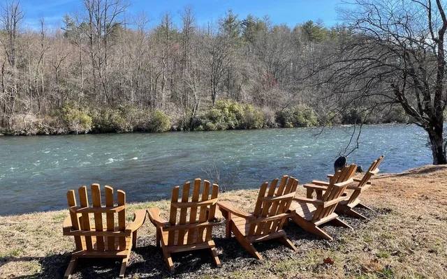 a view of empty space with tree