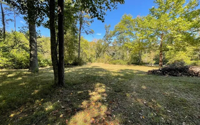 a view of a yard with large trees