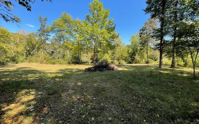 a view of outdoor space with green field