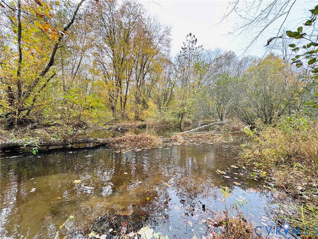Randolph Creek