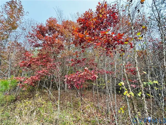 a view of a wooden fence
