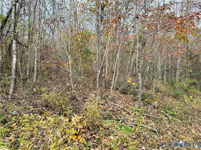 wooden floor with white walls and white walls
