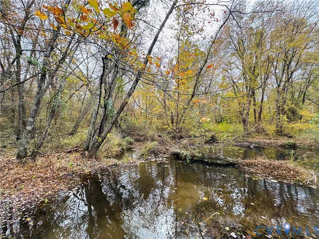 a view of lake with large tree