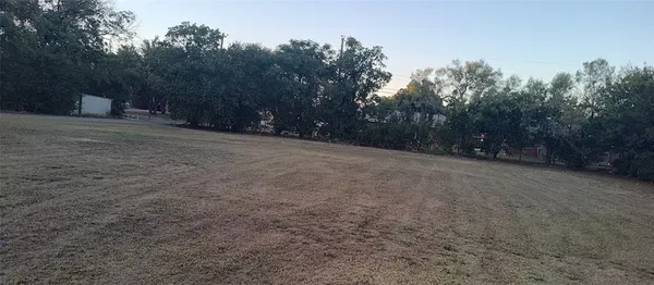 a view of a forest with trees in the background
