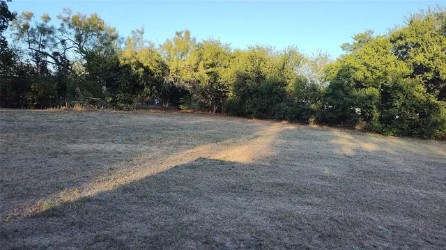 a view of a yard with a trees