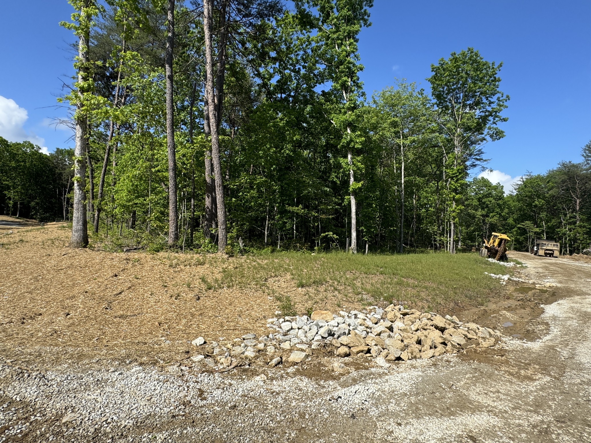0 Woodly Branch Road Tracy City, TN 37387 - Photo 2 of 28 a view of a yard with plants and trees