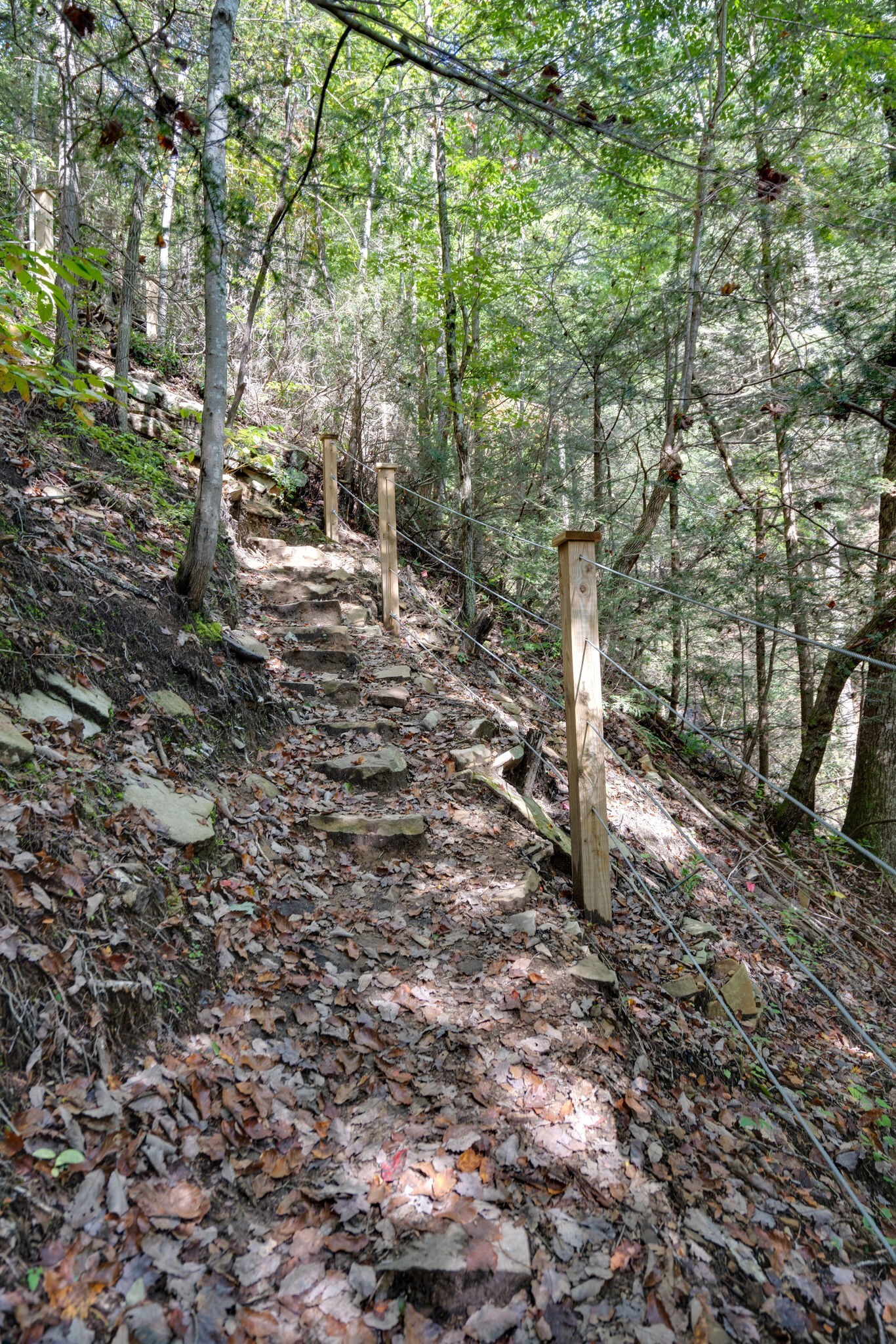 0 Woodly Branch Road Tracy City, TN 37387 - Photo 10 of 28 a view of outdoor space and yard