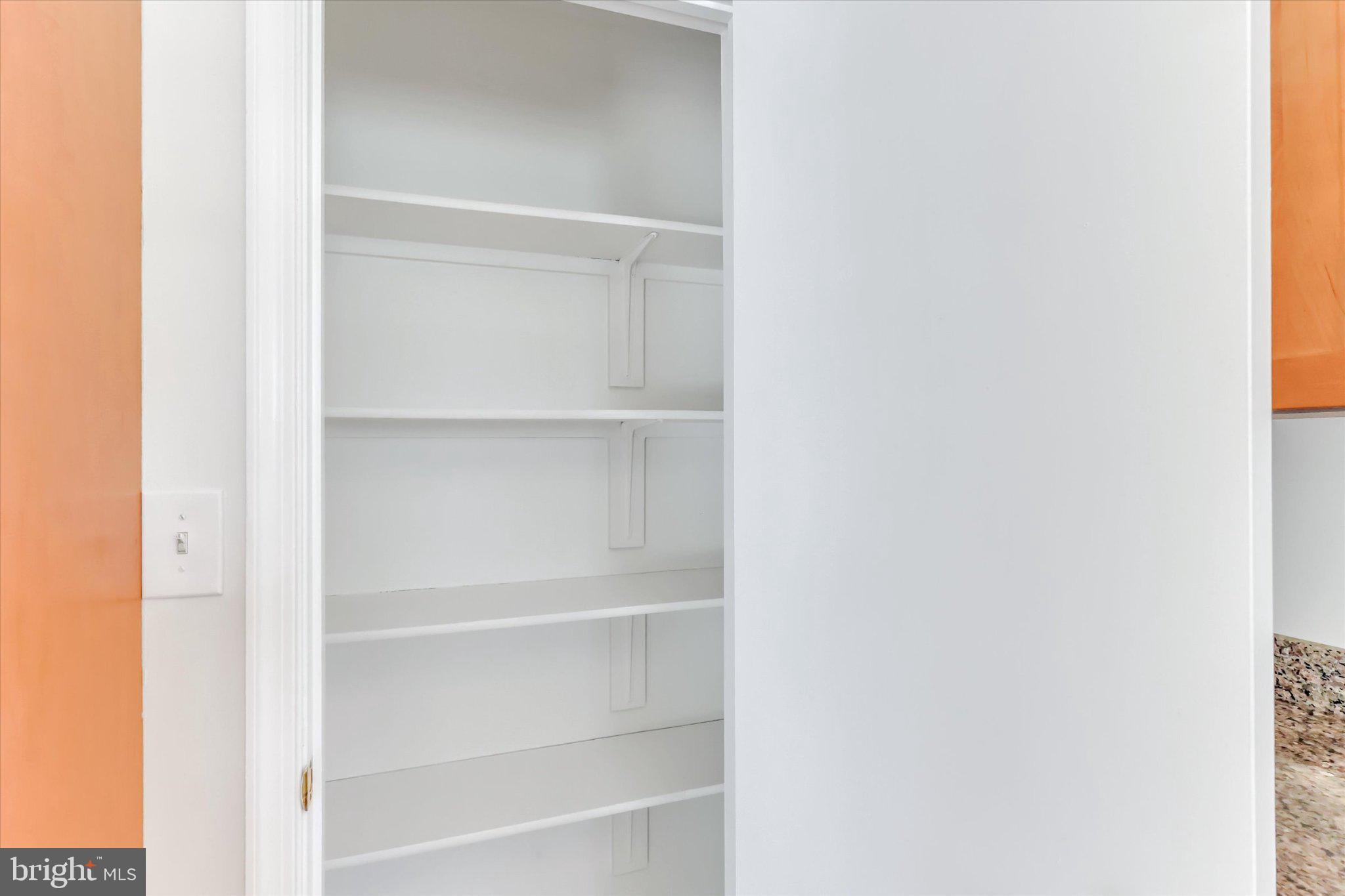 14323 Gate Dancer Lane Boyds, MD 20841 - Photo 42 of 54 Spacious, organized storage awaits!