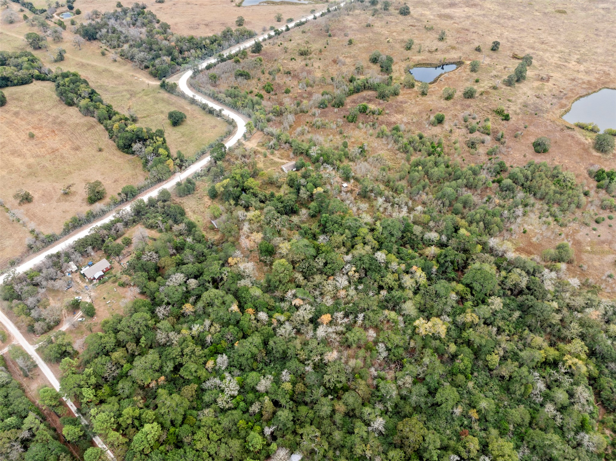 0 Outback Alley Bedias, TX 77831 - Photo 12 of 16 The cleared area on the property provides a potential homesite, offering a blank canvas to create your dream home in a peaceful, natural setting.