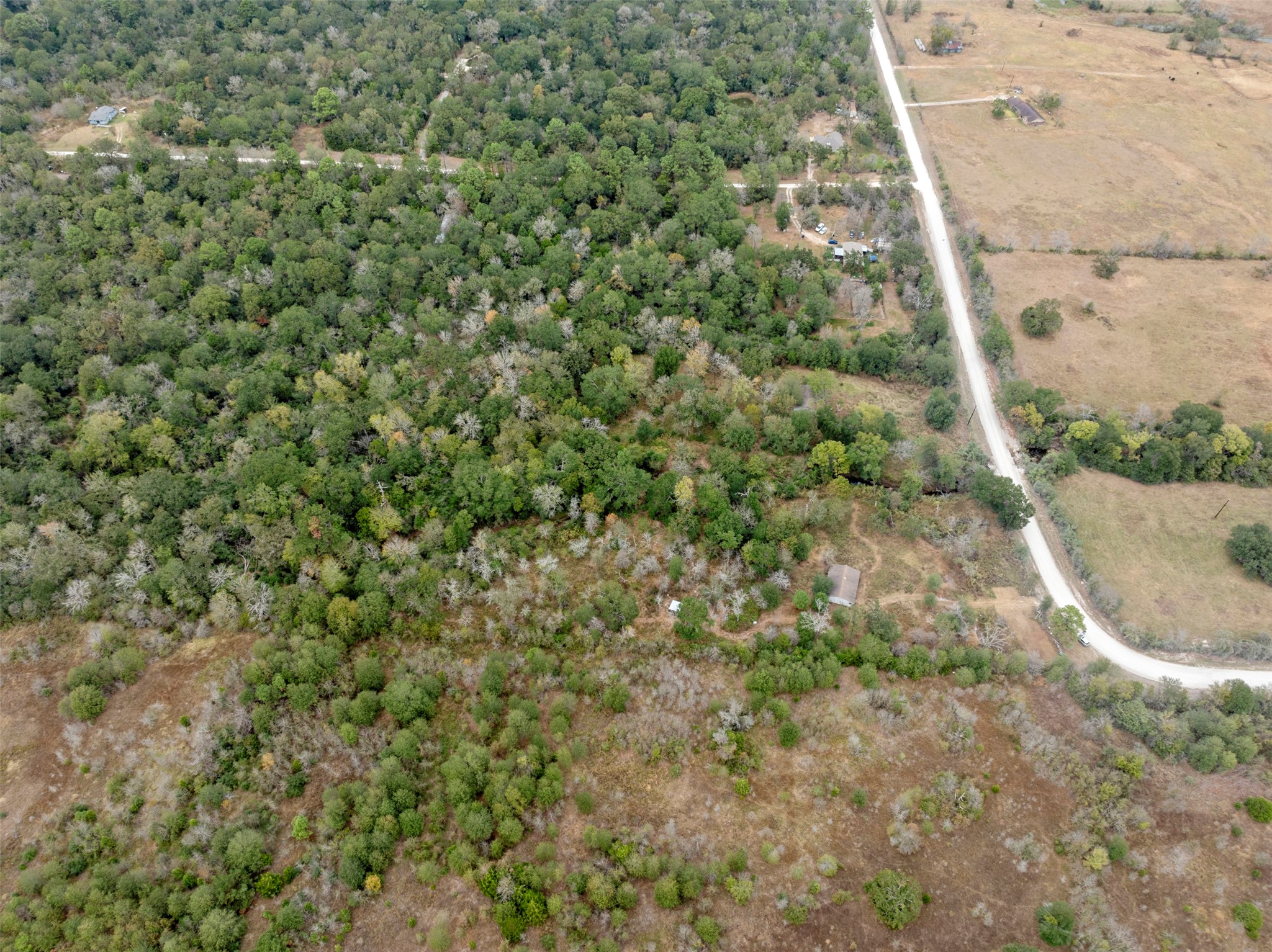 0 Outback Alley Bedias, TX 77831 - Photo 6 of 16 The property features a natural blend of open spaces and wooded sections, allowing for multiple possibilities in development and landscaping.