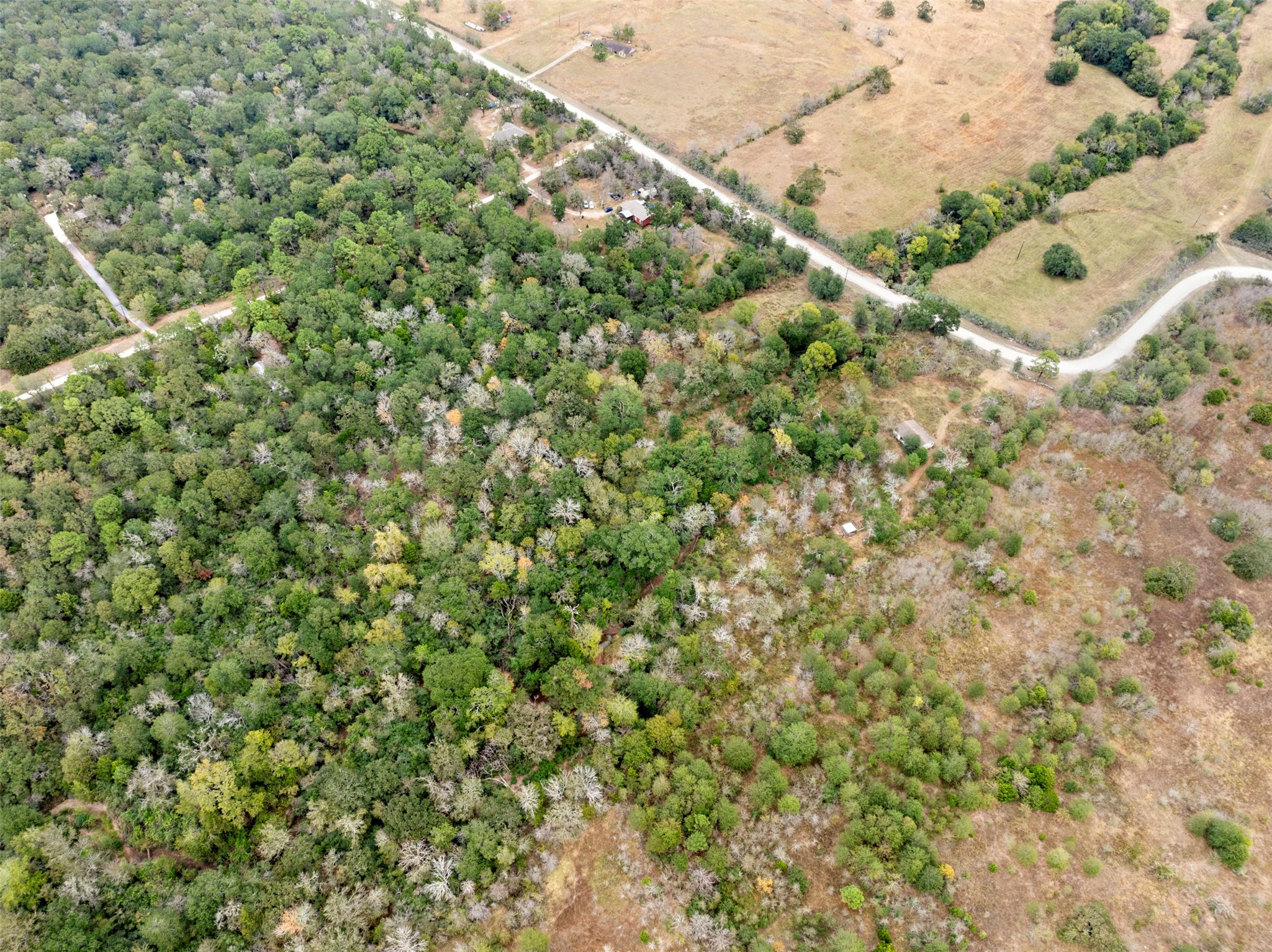 0 Outback Alley Bedias, TX 77831 - Photo 8 of 16 Tucked away within mature trees, this land offers a sense of privacy and a natural backdrop, ideal for outdoor activities and wildlife watching.