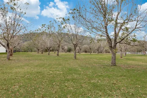 a view of field with trees