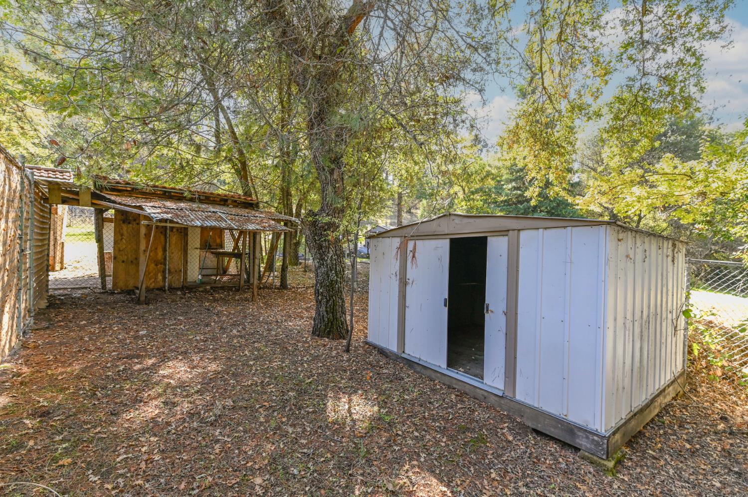 17542 Climax Road Jackson, CA 95642 - Photo 11 of 86