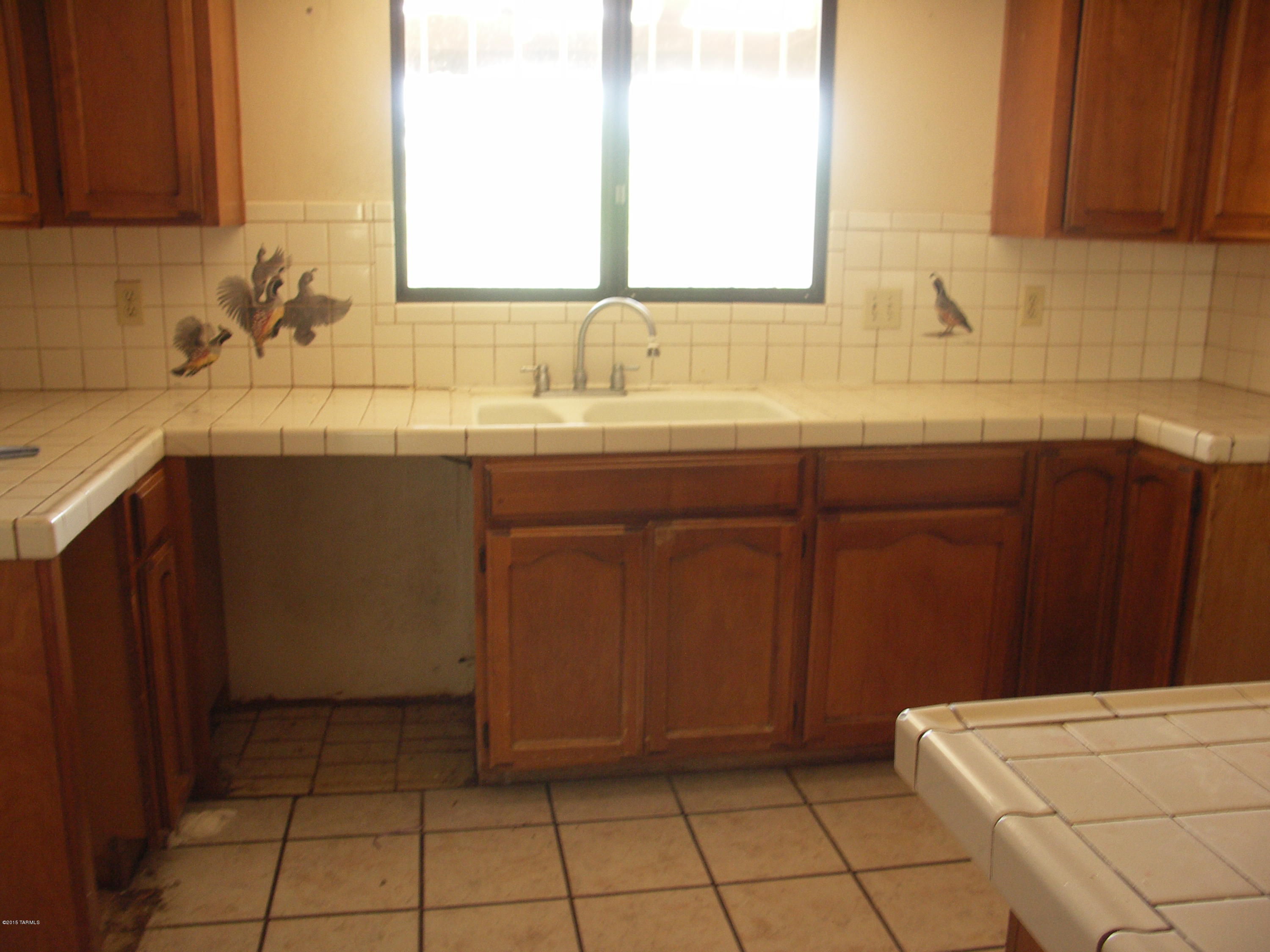 100 West River Road Tucson, AZ 85704 - Photo 12 of 45