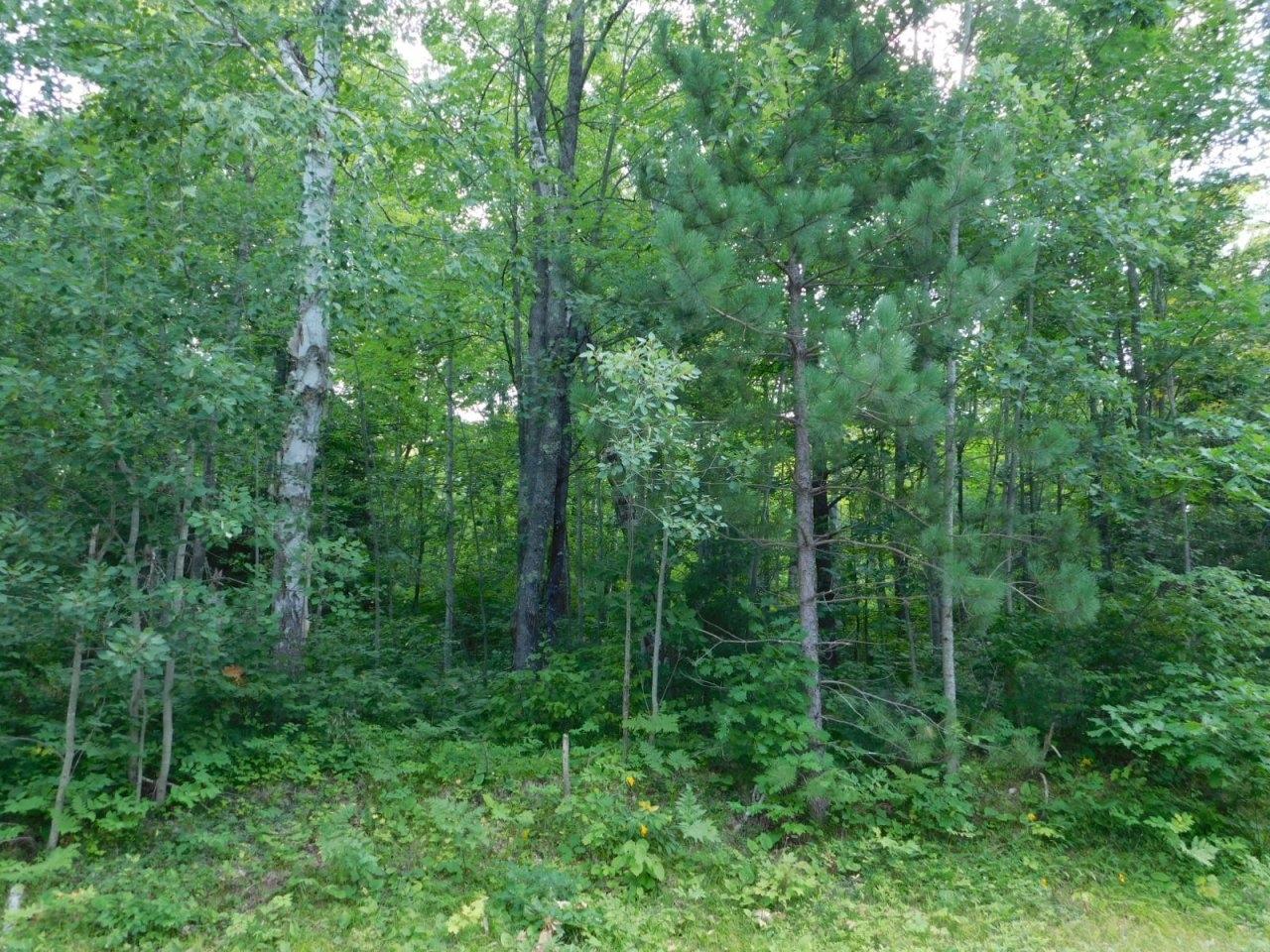 On On Clover Road Winter, WI 54896 - Photo 18 of 19 Gallery Image 18